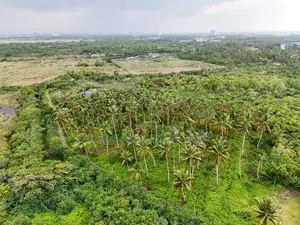 Land for Sale in Bopitiya