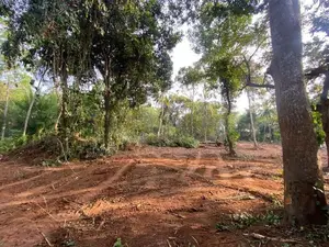 Sea View Property for Sale in Dickwella
