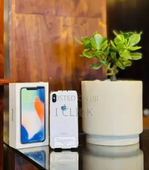 Apple iPhone X 256GB (Used)