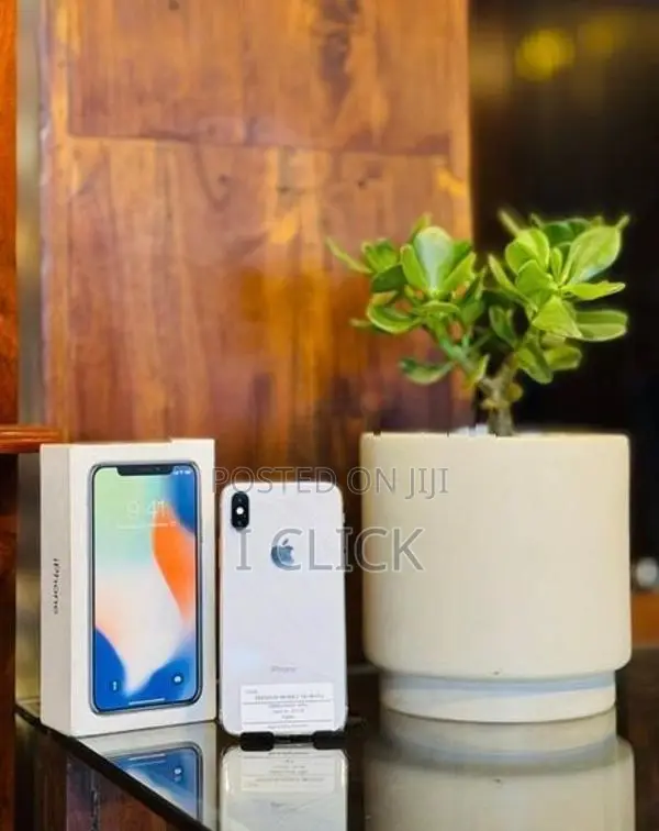 Apple iPhone X 256GB (Used)