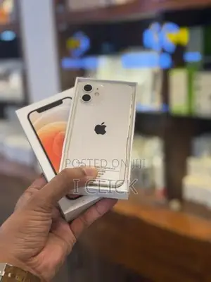 Apple iPhone 12 mini 64GB (Used)