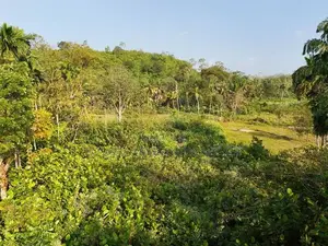 Galle Land for Sale
