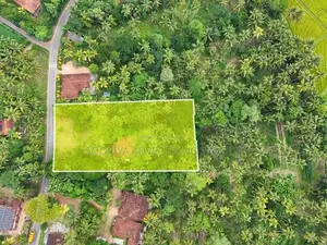 Gampaha Land for Sale