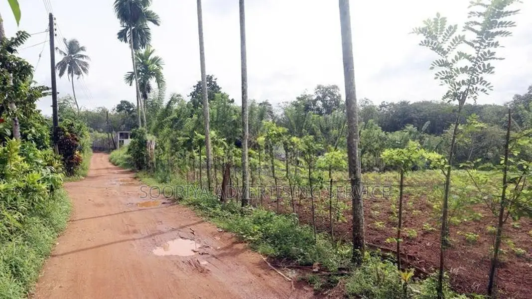 108 Perches Land for Sale in Gonapola