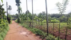 108 Perches Land for Sale in Gonapola