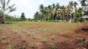108 Perches Land for Sale in Gonapola