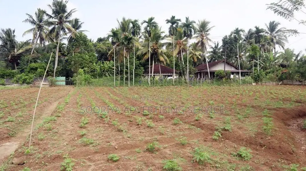 108 Perches Land for Sale in Gonapola