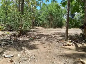 Agunakolapelessa Land for Sale