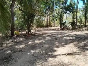 Agunakolapelessa Land for Sale