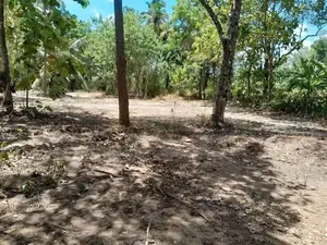 Agunakolapelessa Land for Sale