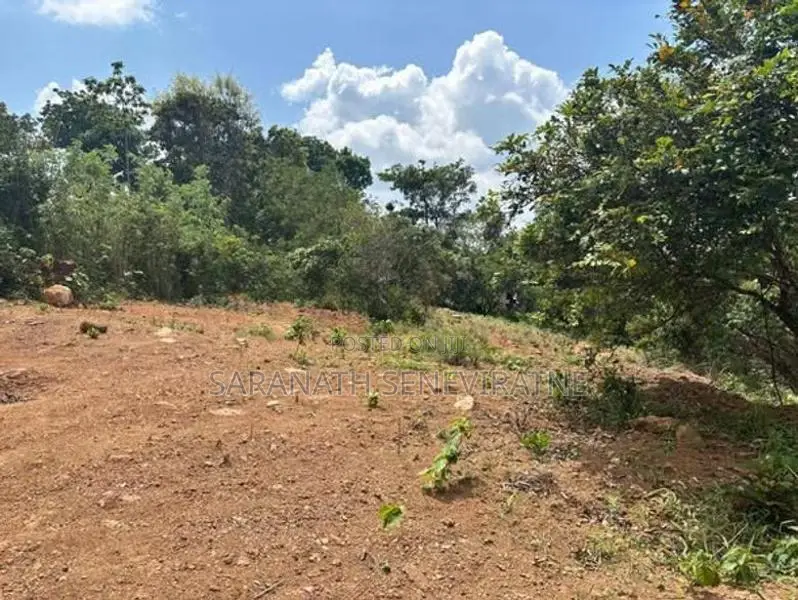 2 Lands in a Serene and Picturesque Environment of Belihuloya Ratnapur