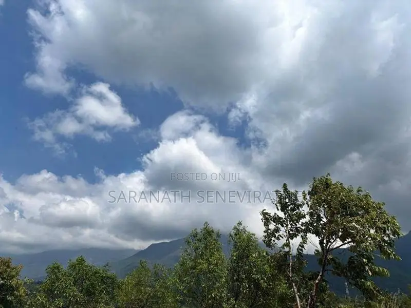 2 Lands in a Serene and Picturesque Environment of Belihuloya Ratnapur