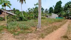 කඩවතින් ඉඩමක්