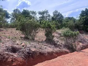 2 Lands in a Serene and Picturesque Environment of Belihuloya Ratnapur