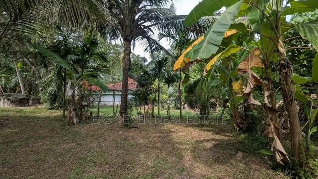 කලගෙඩිහේන කොළඹ ,නුවර මාර්ගයට විනාඩි 10 යි බිම් කොටසක්