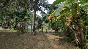 කලගෙඩිහේන කොළඹ ,නුවර මාර්ගයට විනාඩි 10 යි බිම් කොටසක්