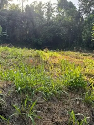 Veyangoda Paththalagedara Land for sale face to highway entrance road