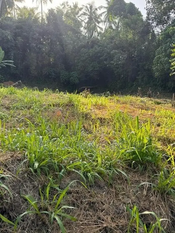 Veyangoda Paththalagedara Land for sale face to highway entrance road
