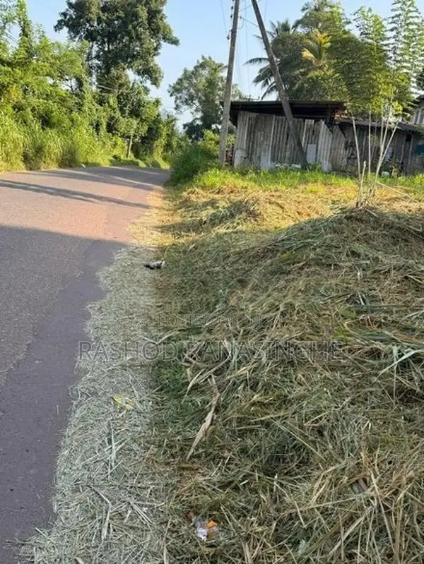 Veyangoda Paththalagedara Land for sale face to highway entrance road