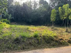 Veyangoda Paththalagedara Land for sale face to highway entrance road