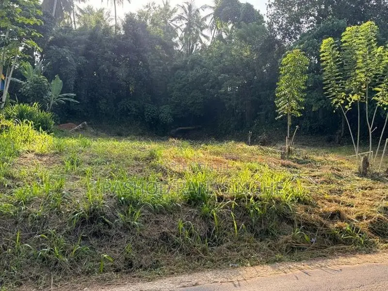 Veyangoda Paththalagedara Land for sale face to highway entrance road