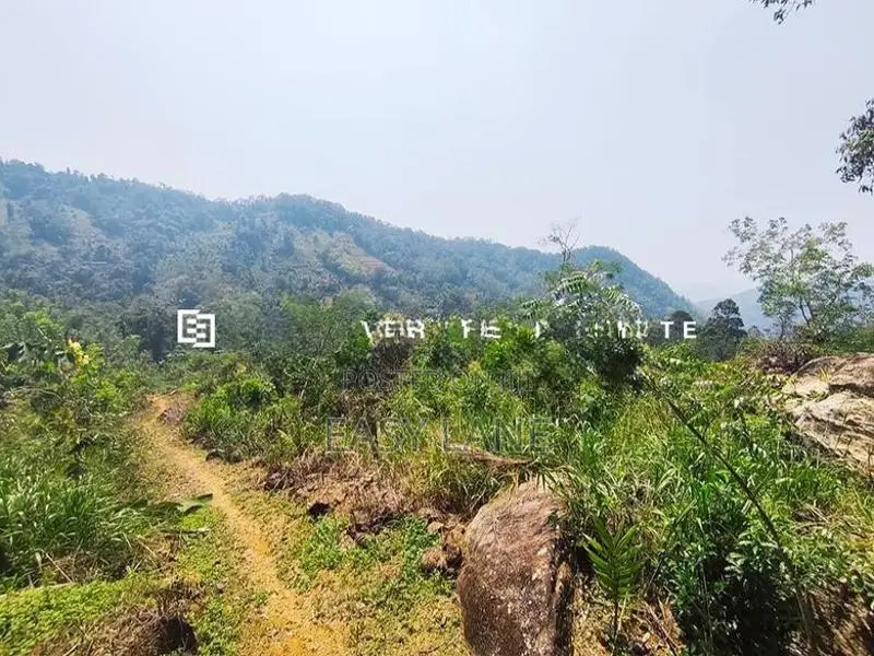 ⛰️ රත්නපුර – ඇළ පාරට මායිම් අක්කර 2.5, ලක්ෂ 28 යි 🌊