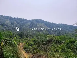 ⛰️ රත්නපුර – ඇළ පාරට මායිම් අක්කර 2.5, ලක්ෂ 28 යි 🌊
