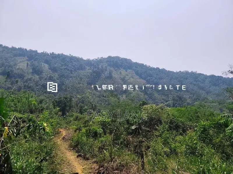 ⛰️ රත්නපුර – ඇළ පාරට මායිම් අක්කර 2.5, ලක්ෂ 28 යි 🌊