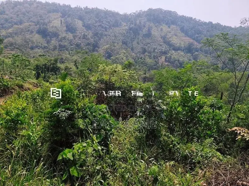 ⛰️ රත්නපුර – ඇළ පාරට මායිම් අක්කර 2.5, ලක්ෂ 28 යි 🌊