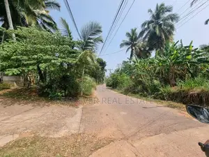ගම්පහ මිනුවන්ගොඩ පාරට මීටර් 800 බිම්කොටසක් විකිණීමට