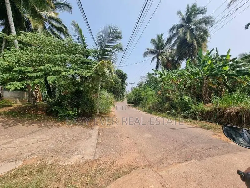 ගම්පහ මිනුවන්ගොඩ පාරට මීටර් 800 බිම්කොටසක් විකිණීමට