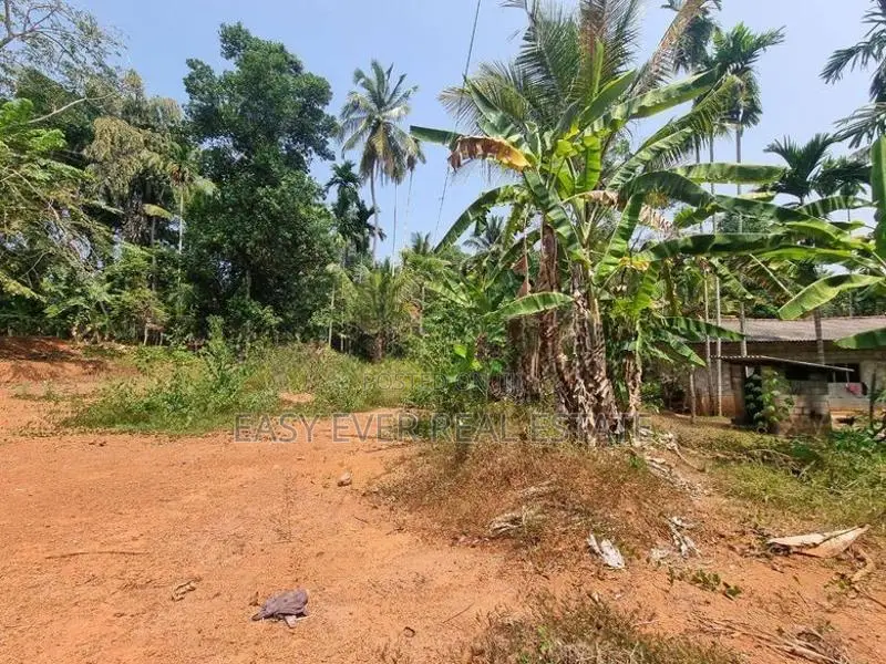 ගම්පහ මිනුවන්ගොඩ පාරට මීටර් 800 බිම්කොටසක් විකිණීමට