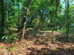 කාපට් පාරෙන් දෙවෙනි ඉඩම උඩුගම්පල