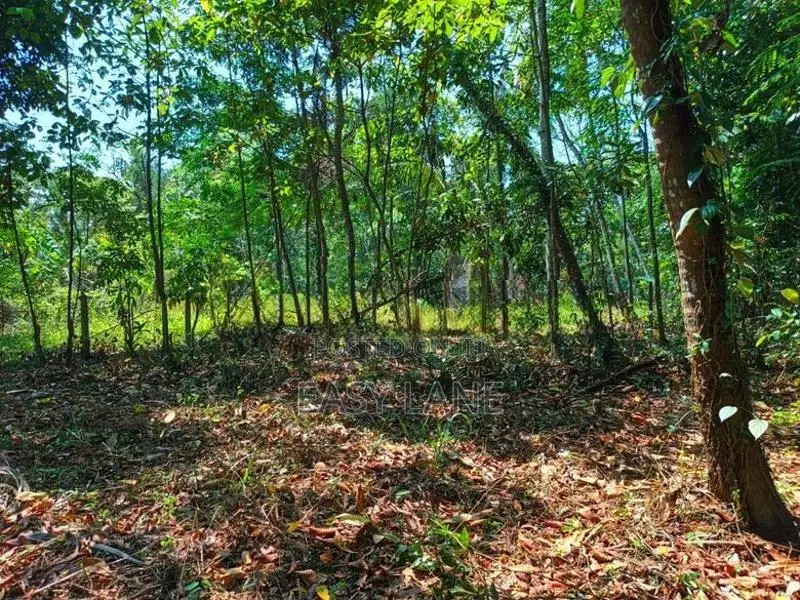 කාපට් පාරෙන් දෙවෙනි ඉඩම උඩුගම්පල