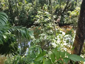 Meepe 10 Perches Land for Sale at Thummodara