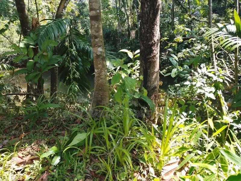 Meepe 10 Perches Land for Sale at Thummodara