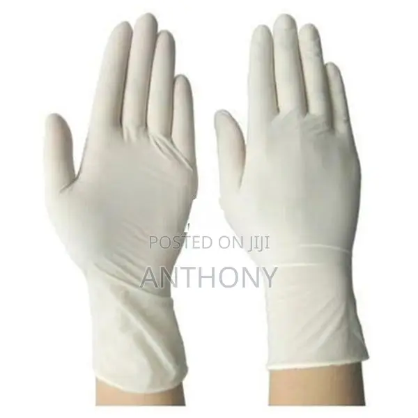 Blossom Examination Gloves – Powder Free