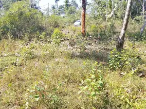 Meepe 10 Perches Land for Sale at Thummodara