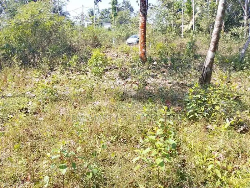 Meepe 10 Perches Land for Sale at Thummodara