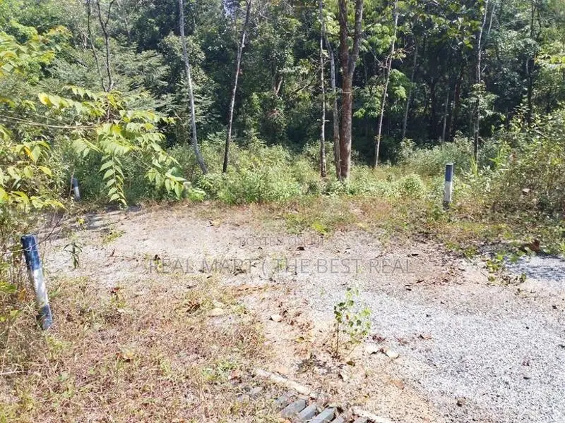 Meepe 10 Perches Land for Sale at Thummodara