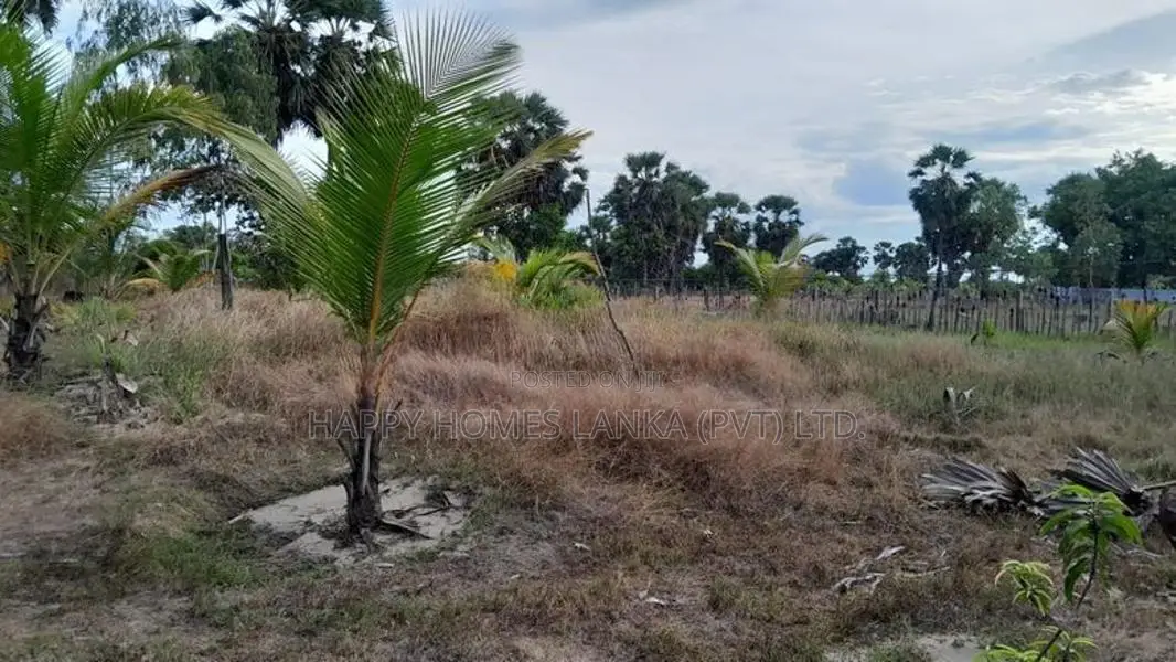 Hhl1022 - Land for Sale in Thannamunai