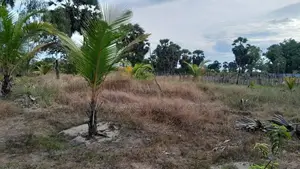 Hhl1022 - Land for Sale in Thannamunai