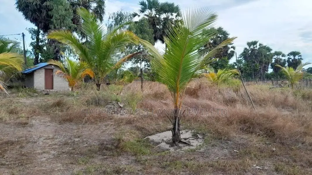 Hhl1022 - Land for Sale in Thannamunai