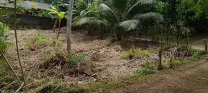 Land for sale in weherahena matara
