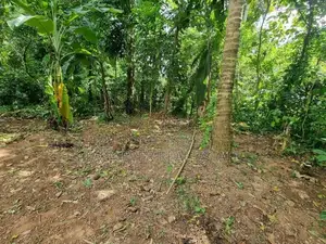 කටුනායක වේයන්ගොඩ පාරට මීටර් 750 ඉඩම
