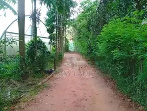 ගම්මිරිස් වගාව සහිත ඉඩම නුවර