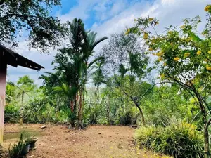 විශාල පලතුරු වත්තක් සමඟ නිවාස දෙකක් ඌරාපොලින්