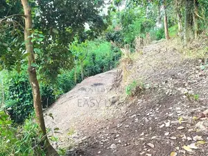 ගම්මිරිස් වගාව සහිත ඉඩම නුවර