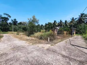 නුවර පාරට සහ කලගෙඩිහේන නගරයට ඉතාම ආසන්නව බිම් කොටසක්
