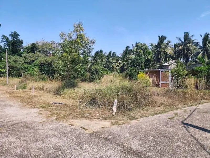 නුවර පාරට සහ කලගෙඩිහේන නගරයට ඉතාම ආසන්නව බිම් කොටසක්